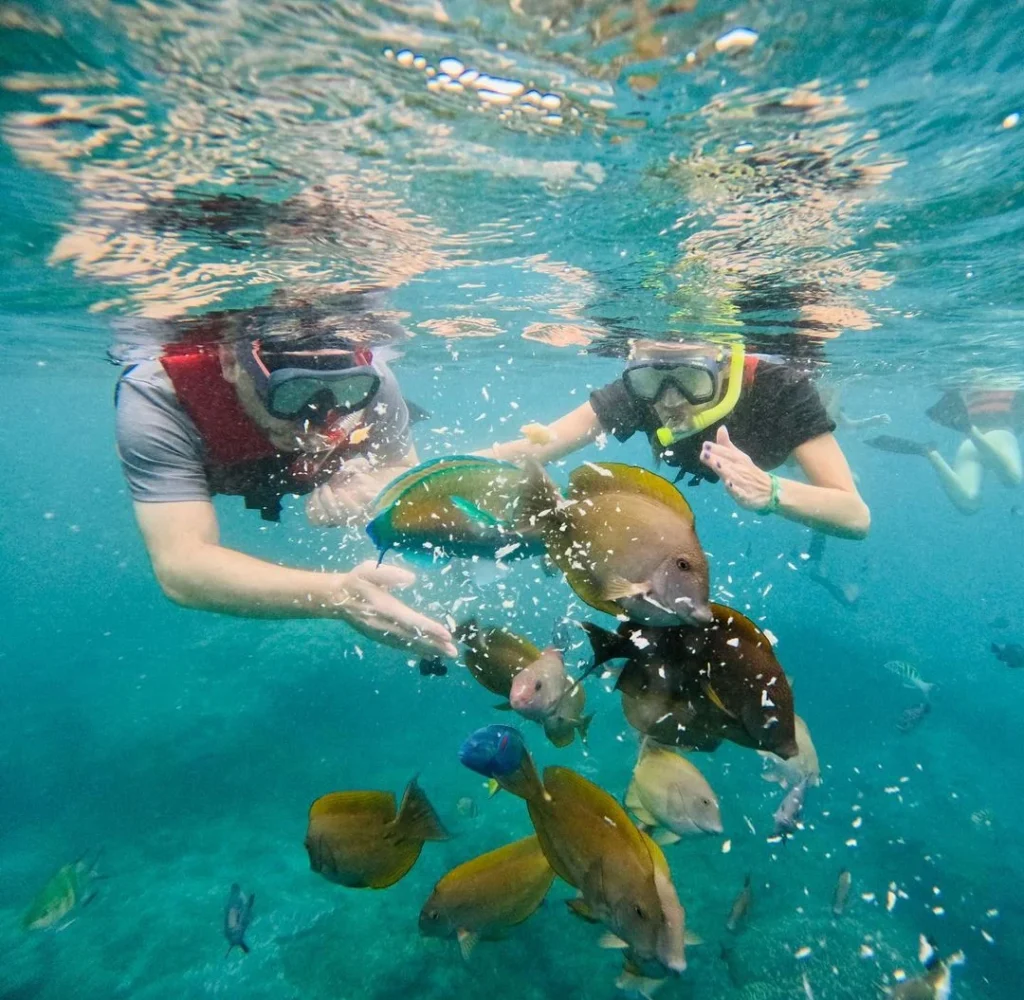 Aktivitas Tambahan yang Bisa Dipadukan dengan Snorkeling