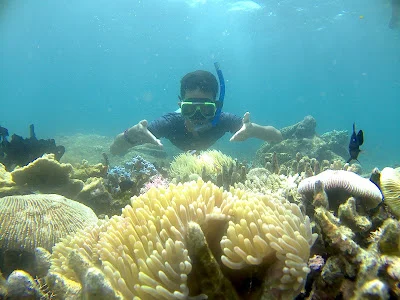 Aktivitas Utama dalam Wisata edukasi tentang terumbu karang di Banyuwangi