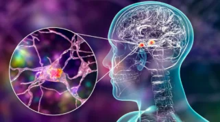 Amigdala dan Paranoia: Bagaimana Otak Salah Mengartikan Rasa Takut