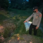 Anak Usia 3 Tahun Meninggal Setelah Terperosok ke Gorong-gorong di Jakarta Barat