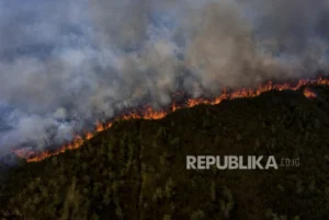 Ancaman El Nino 2026 Tingkatkan Titik Api di Sumatra, Ribuan Hektar Gambut Terancam