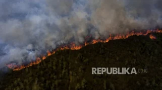 Ancaman El Nino 2026 Tingkatkan Titik Api di Sumatra, Ribuan Hektar Gambut Terancam