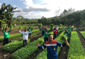 Ansor Bertani Dorong Pengelolaan Lahan Produktif di Bawean Kembangkan Pertanian Berkelanjutan