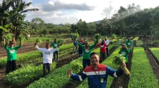 Ansor Bertani Dorong Pengelolaan Lahan Produktif di Bawean Kembangkan Pertanian Berkelanjutan