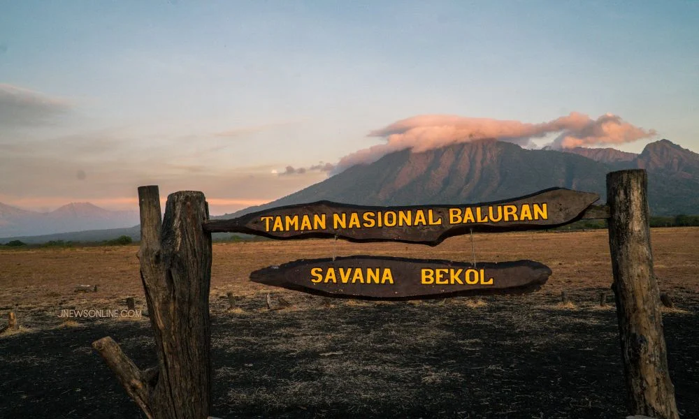 Aspek legal dan lingkungan dalam usaha tour guide petualangan di Taman Nasional Baluran
