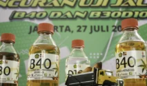 B50: Bahan Bakar Solar Campuran Sawit 50% Mulai Berlaku 1 Juli 2026