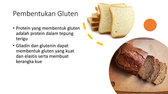 Bagaimana Gluten Mempengaruhi Metabolisme? Menjelaskan Ilmu di Balik Diet