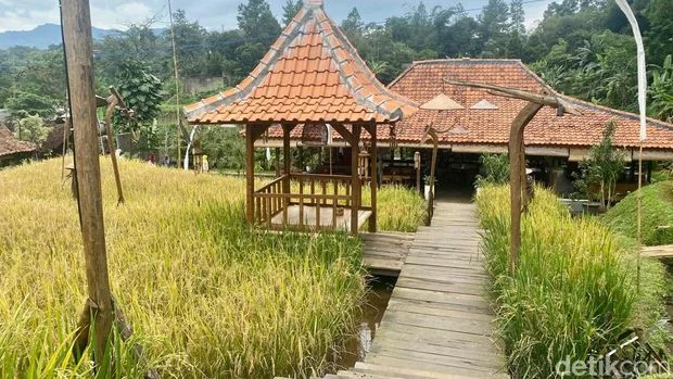 Bagaimana Tempat Ngopi Ini Membantu Pembangunan Seni di Banyuwangi?