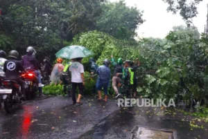 Bandung Dilanda Hujan Deras dan Angin Kencang, Puluhan Pohon Tumbang, Satu Warga Meninggal