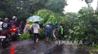 Bandung Dilanda Hujan Deras dan Angin Kencang, Puluhan Pohon Tumbang, Satu Warga Meninggal
