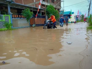 Banjir 2 Meter Rendam Perumahan di Parungpanjang, Bogor, 1.377 Warga Terdampak