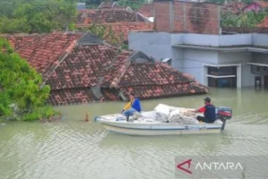 Banjir Bandang di Kecamatan Guntur, Demak: Ratusan Rumah Rusak, Warga Mengungkap Kesulitan