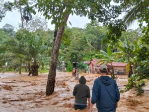 Banjir Informasi Picu Logical Fallacy, Gen Z Perlu Waspada, Saran Psikolog
