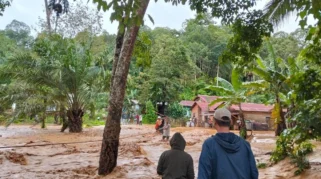 Banjir Informasi Picu Logical Fallacy, Gen Z Perlu Waspada, Saran Psikolog