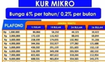 Bank Rakyat Indonesia Perkuat Pembiayaan Mikro dengan Pencapaian KUR Rp 150 Triliun di Kuartal I 2026