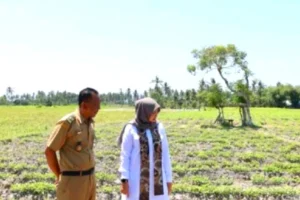 Banyuwangi Siapkan Satgas Kemarau Antisipasi Dampak El Nino