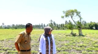 Banyuwangi Siapkan Satgas Kemarau Antisipasi Dampak El Nino