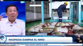 BAPANAS Klaim Siapkan Mitigasi Dampak El Nino, Pemerintah Perkuat Cadangan Pangan dan Pompanisasi