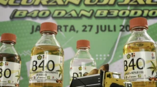 Biodiesel B50 Mulai Berlaku 1 Juli 2026, Pemerintah Klaim Hemat Rp 48 Triliun