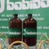 Bobibos Jalani Uji Kelayakan Sebelum Dipasarkan, Pemerintah Pantau Prosesnya