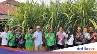Bulog Jamin Penyerapan Tebu Petani Blora Lewat PT GMM Sesuai Harga Pemerintah 2026