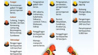 Bulog Siapkan 100 Titik Infrastruktur Pascapanen dengan Anggaran Rp5 Triliun