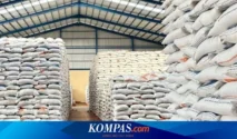 Bulog Target Serap 4 Juta Ton Gabah 2026, Stok Ngawi Melimpah