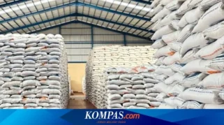 Bulog Target Serap 4 Juta Ton Gabah 2026, Stok Ngawi Melimpah