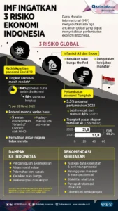 Cadangan Devisa Indonesia Menurun, IMF Ingatkan Risiko Global