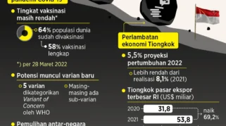 Cadangan Devisa Indonesia Menurun, IMF Ingatkan Risiko Global