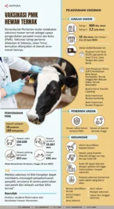 Cegah PMK, DKPPP Jember Vaksinasi 69 Sapi di Gumukmas