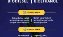 Celios Tegaskan Biodiesel dan Bioetanol Tidak Layak Disubsidi, Bebani APBN