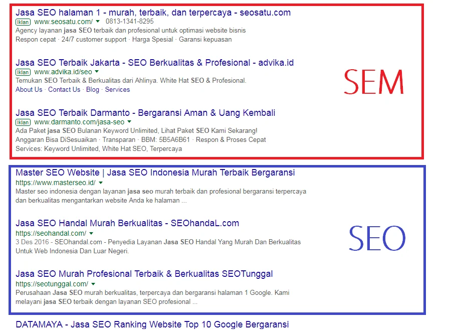 Contoh Nyata SEO dalam Dunia Olahraga