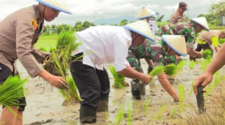 Cuaca Ekstrem April Memperpanjang Masa Tanam Petani di Indonesia