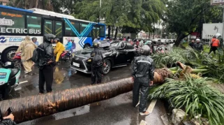 Cuaca Ekstrem di Jakarta Timur Runtuhkan Pohon, Timpakan pada Mobil, Ruko, dan Atap Supermarket