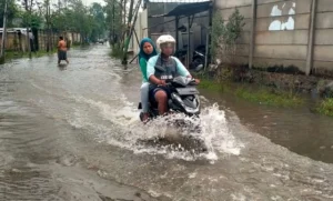 CVT Motor Matic Harus Dilepas Segera Setelah Terkena Banjir, Ini Alasannya