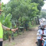 Dandim 0825/Banyuwangi Turun Langsung Atur Lalu Lintas di Jalur Ketapang