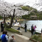 Denny Sumargo dan Keluarga Nikmati Keindahan Taman Sakura di Jepang