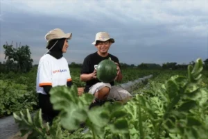 Dispertan Nganjuk Buka Program Magang Petani Muda ke Jepang, Simak Syaratnya