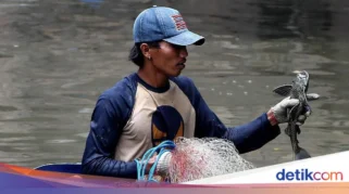 Dukungan Pram Soal Sapu-sapu Diburu demi Ekosistem Perairan