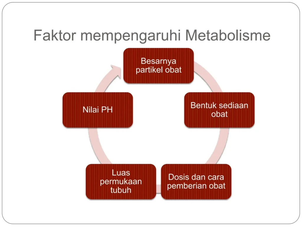 Faktor-faktor yang Mempengaruhi Metabolisme Tubuh