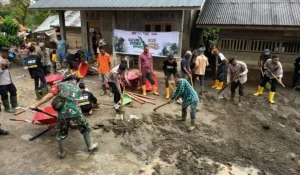 Gotong Royong Warga Meureudu dan Pemerintah Percepat Pemulihan Pascabencana