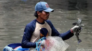 Gubernur DKI Pramono Anung Dukung Penangkapan Massal Ikan Sapu-sapu karena Ancaman Ekosistem