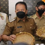 Hapus Sekat Profesi Medis, Bupati Jember Buka Peluang Perawat Jadi Kepala Puskesmas