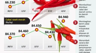 Harga Cabai Rawit Meningkat Tajam, Harga Ayam Sentuh Rp 50.000 per Kilogram