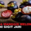 Harga Manggis Melonjak, Banyuwangi Bidik Pengembangan Komoditas