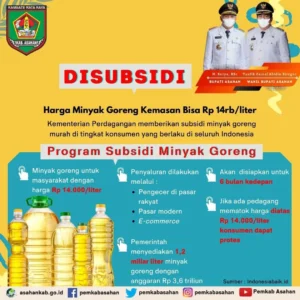 Harga Minyak Goreng Naik, Pemerintah Hadapi Tantangan Kebijakan B50 dan Distribusi Bulog