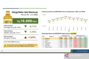 Harga Rata‑Rata Nasional Minyakita Masih di Atas HET pada 9 April 2026
