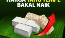 Harga Tempe Naik Rp500, Tahu Tetap Stabil: Penyebab dan Dampaknya bagi Konsumen