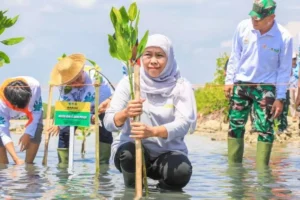 Hari Bumi 2026: Central Park Mall Gelar Greeneration dan Telkom Lakukan Konservasi Mangrove serta Terumbu Karang